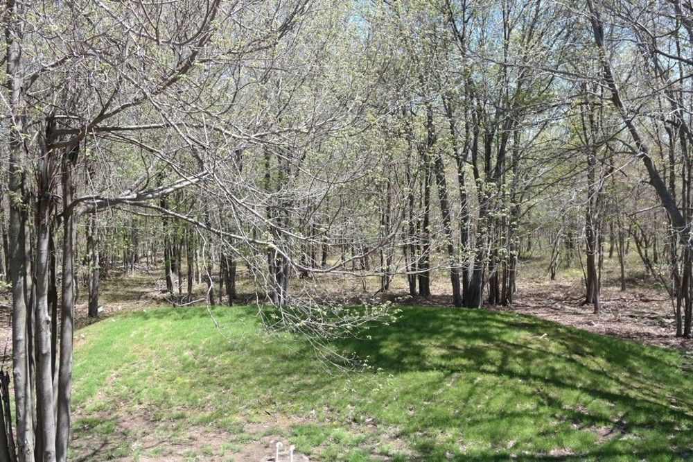 Rentals At Brier Crest Woods Lake Harmony Buitenkant foto